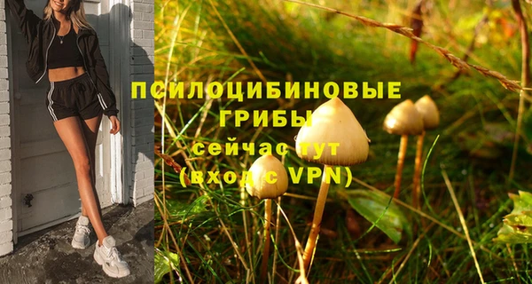гидра Абдулино